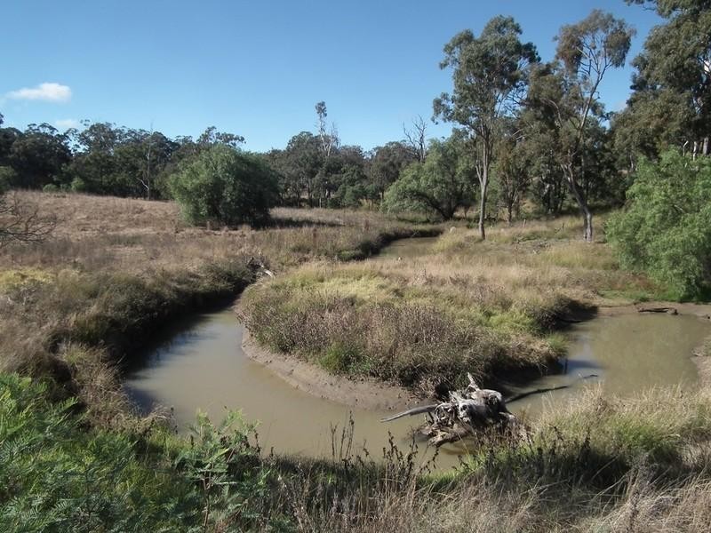 1205 Pechey Maclagan Road, Groomsville QLD 4352