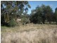 1205 Pechey Maclagan Road, Crows Nest QLD 4355
