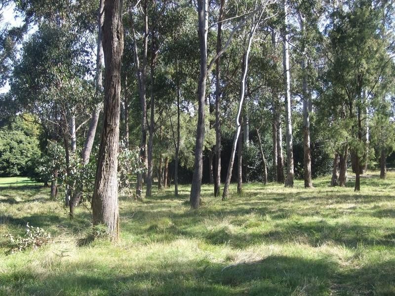 0 Davidson Lane, Hampton QLD 4352