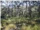 000 Robinson Road, Geham QLD 4352
