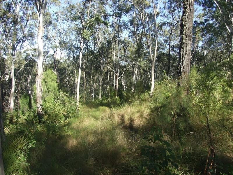 000 Robinson Road, Geham QLD 4352