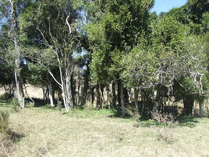 Lot 2 Haden Crows Nest Road, Haden QLD 4353