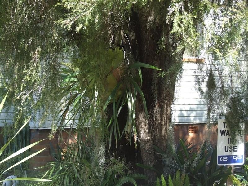 3 New England Highway, Crows Nest QLD 4355