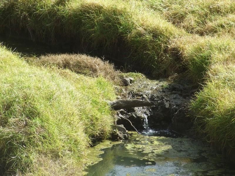 00 Coalbank Road, Crows Nest QLD 4355