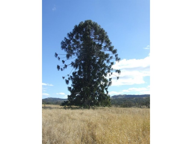 00 Coalbank Road, Crows Nest QLD 4355