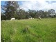00 Pechey-Maclagan Road, Groomsville QLD 4352