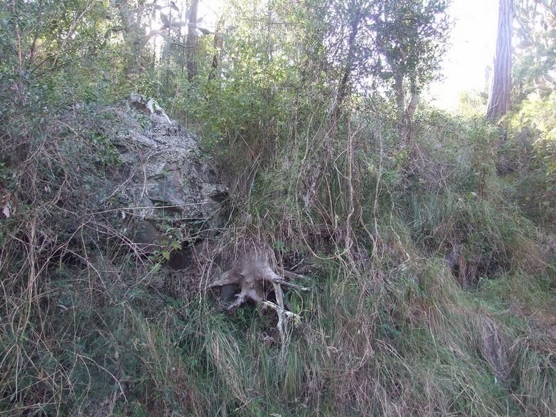 00 Pechey-Maclagan Road, Groomsville QLD 4352