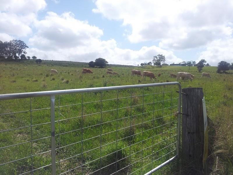 00 Pechey-Maclagan Road, Groomsville QLD 4352