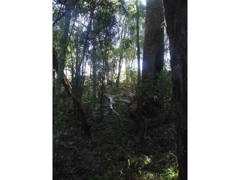 00 Pechey-Maclagan Road, Groomsville QLD 4352