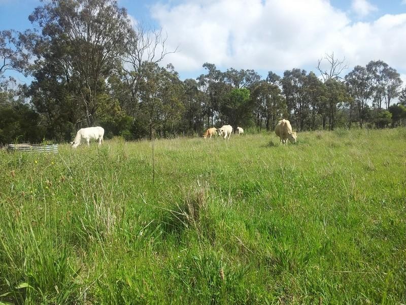 00 Pechey-Maclagan Road, Crows Nest QLD 4355