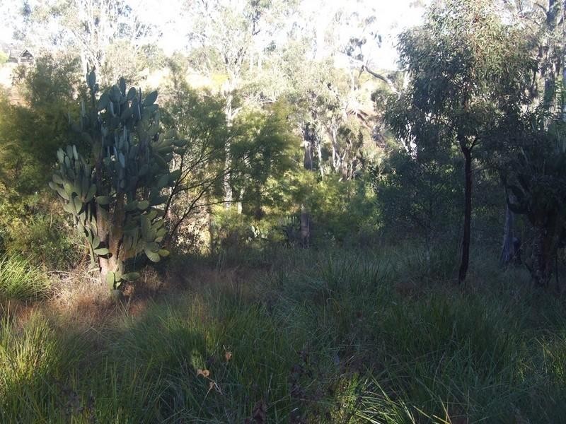 00 Pechey-Maclagan Road, Crows Nest QLD 4355