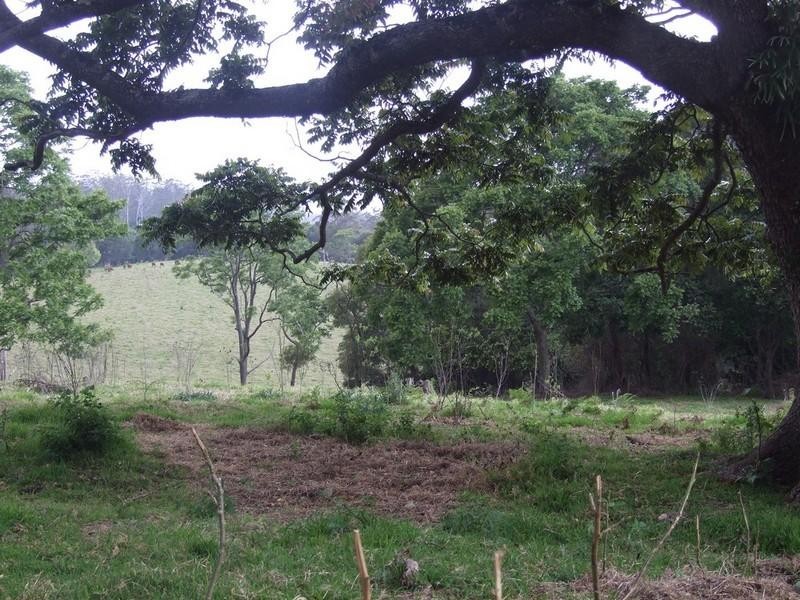 2973 Esk-Hampton Road, Ravensbourne QLD 4352