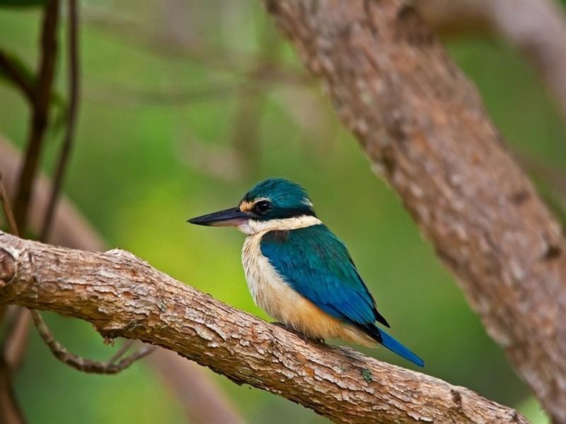 2973 Esk-Hampton Road, Ravensbourne QLD 4352