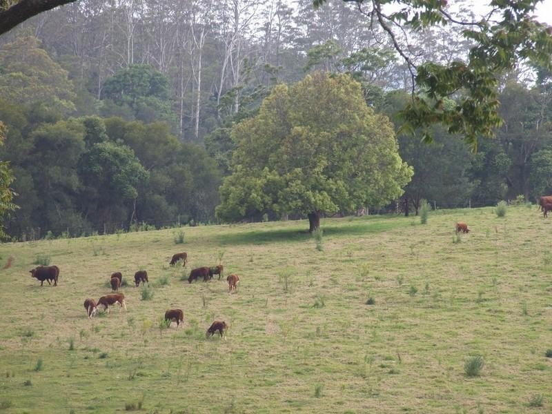 2973 Esk-Hampton Road, Ravensbourne QLD 4352