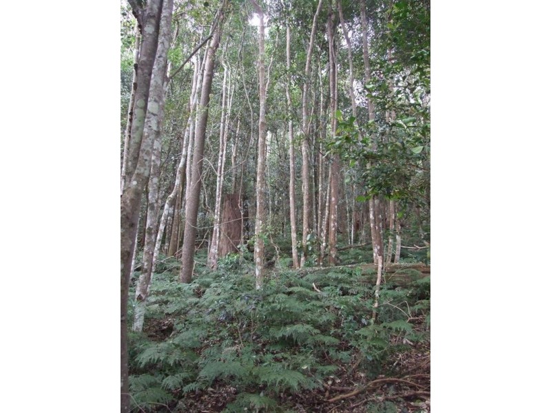 2973 Esk-Hampton Road, Ravensbourne QLD 4352