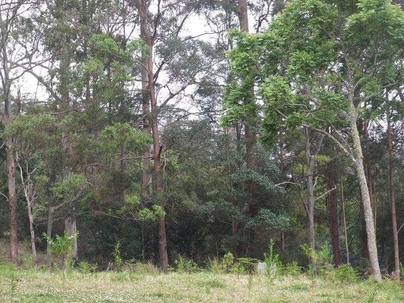 2973 Esk-Hampton Road, Ravensbourne QLD 4352