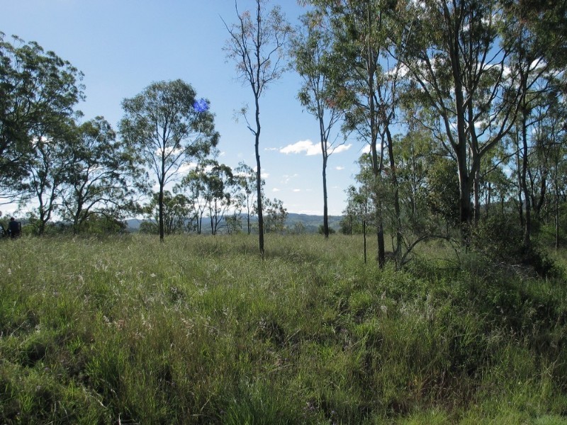 13 Nicholas Court, Cooyar QLD 4402