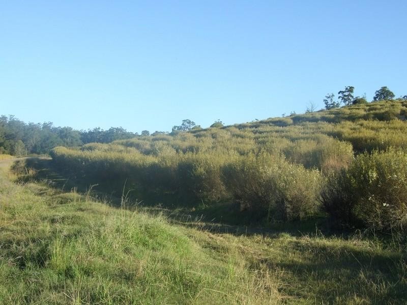 0 Perseverance Dam Road, Crows Nest QLD 4355