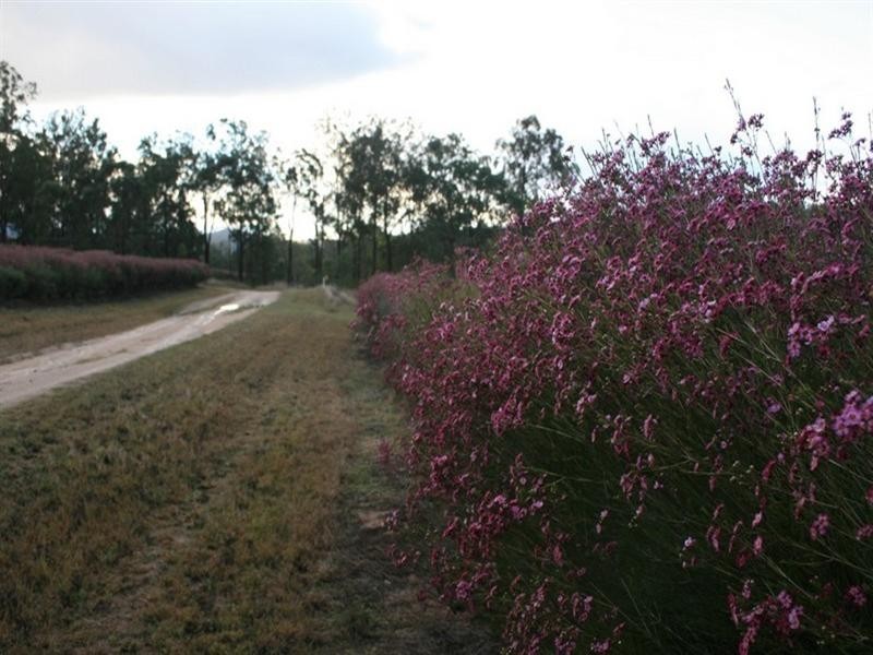 0 Perseverance Dam Road, Crows Nest QLD 4355