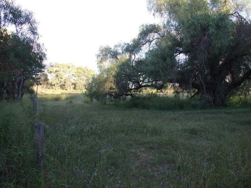 0 Pechey-Maclagan Road, Goombungee QLD 4354