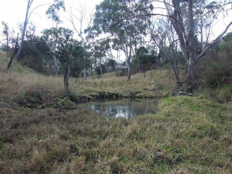 0 Plainby Road, Crows Nest QLD 4355