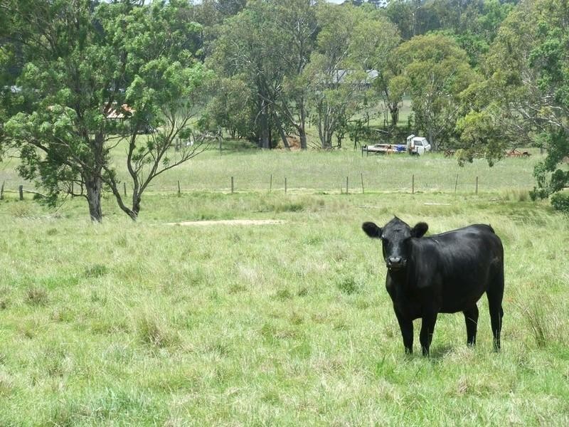 13 Devoncourt Lane, Crows Nest QLD 4355