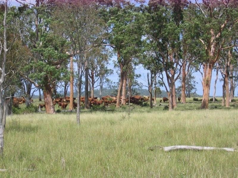 0 Trousdell Road, Crows Nest QLD 4355