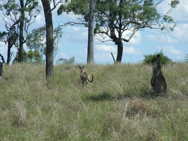 0 Trousdell Road, Crows Nest QLD 4355
