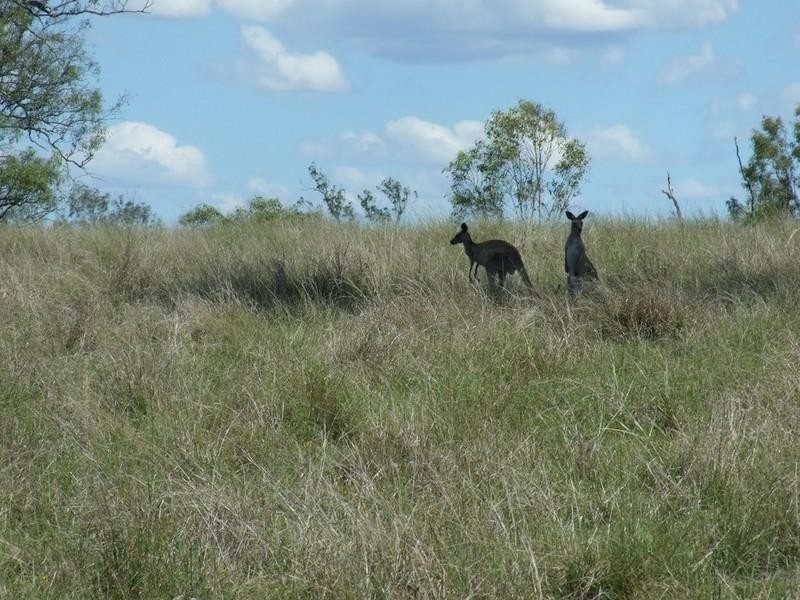 0 Trousdell Road, Crows Nest QLD 4355