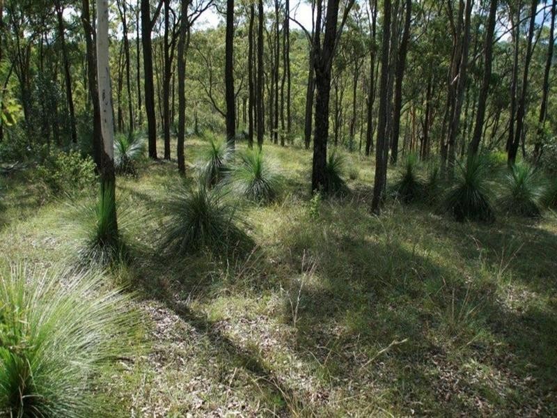 0 Spelling Gully Road, Crows Nest QLD 4355