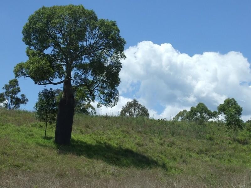Lot 11 Kooralgin-Upper Yarraman Road, Cooyar QLD 4402