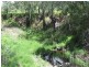 Lot 11 Kooralgin-Upper Yarraman Road, Cooyar QLD 4402