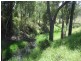 Lot 11 Kooralgin-Upper Yarraman Road, Cooyar QLD 4402