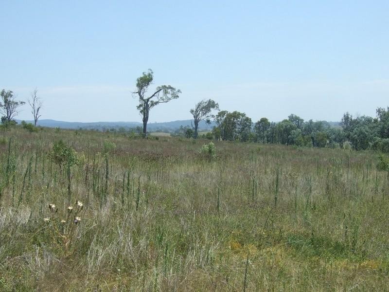 Lot 7 Pierce Creek Road, Crows Nest QLD 4355