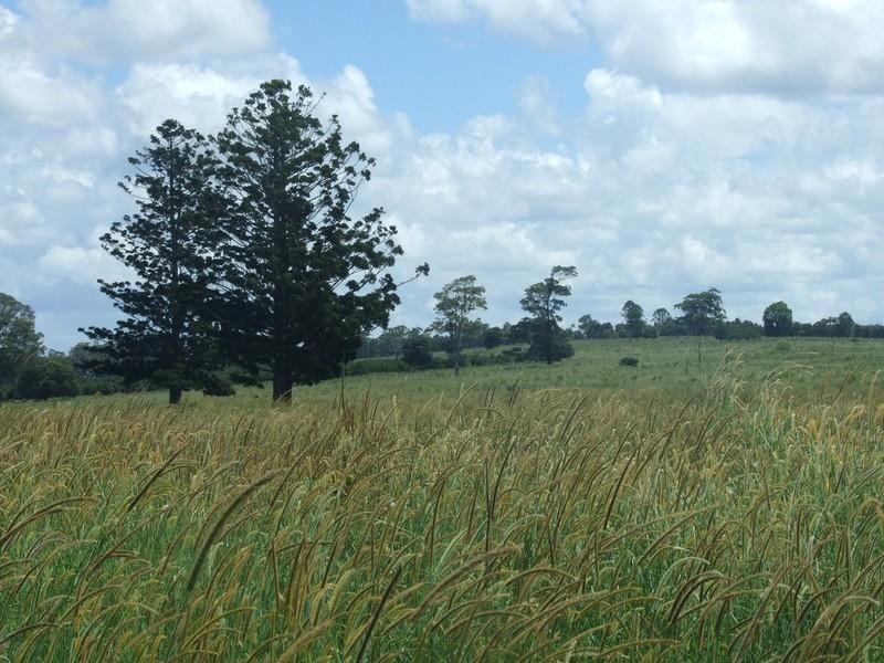 00/00 Blackbutt Crows Nest Road, Blackbutt QLD 4306