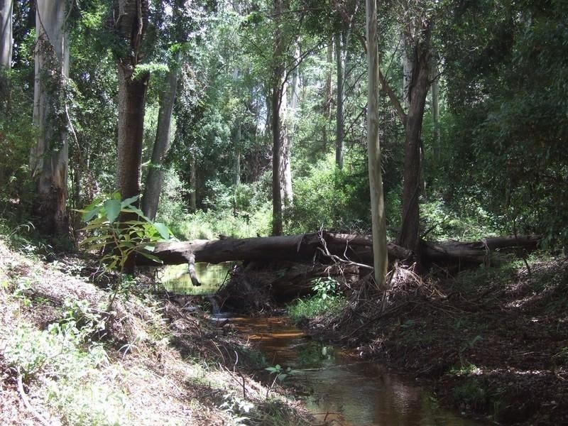 00/00 Blackbutt Crows Nest Road, Blackbutt QLD 4306