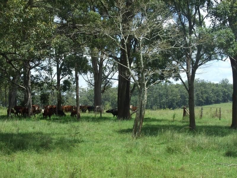 00/00 Blackbutt Crows Nest Road, Blackbutt QLD 4306