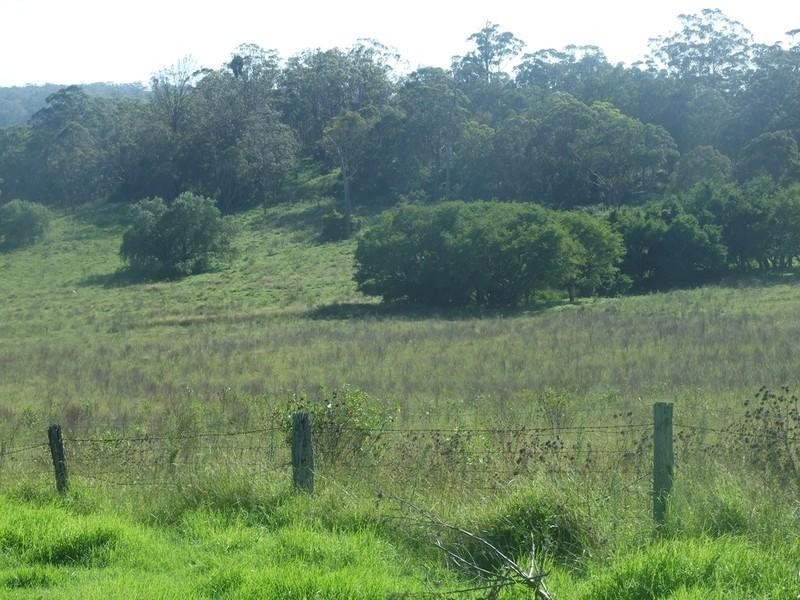 L197 Merritts Creek Road, Hampton QLD 4352