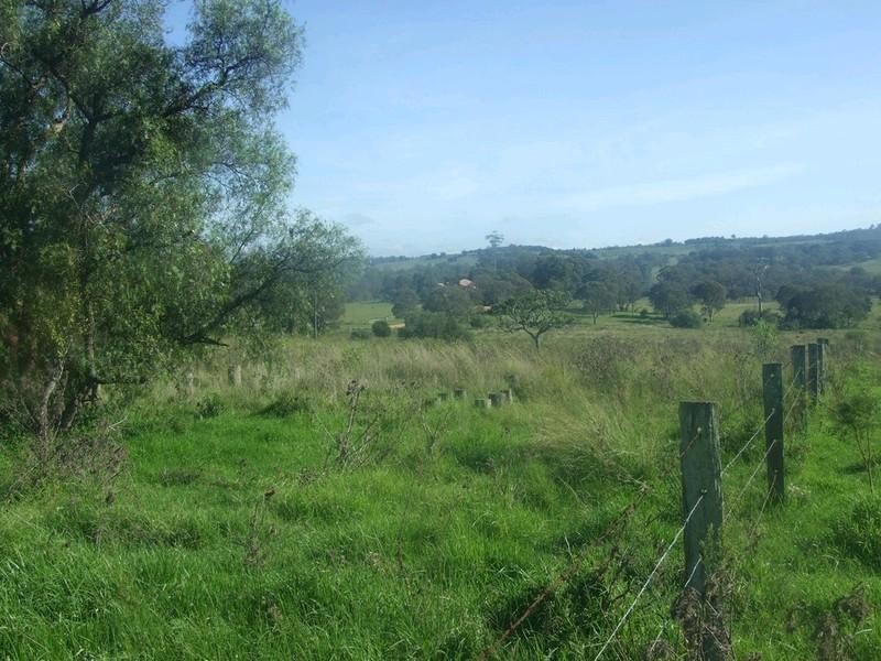 L197 Merritts Creek Road, Hampton QLD 4352