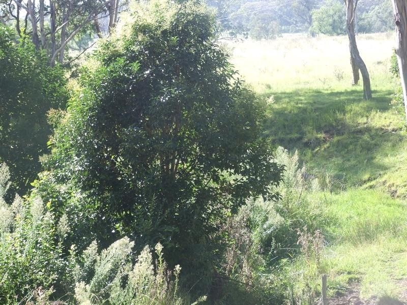 L2 Merritts Creek Road, Hampton QLD 4352