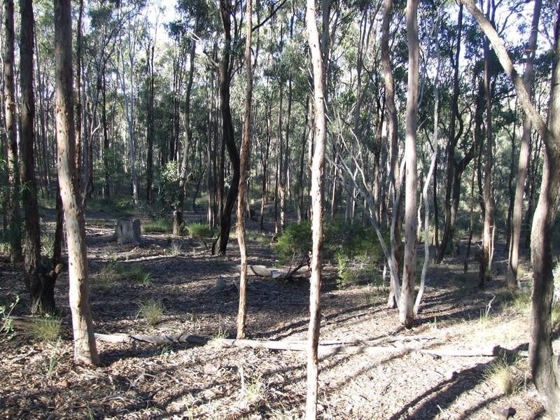 00 Water Street, Goombungee QLD 4354