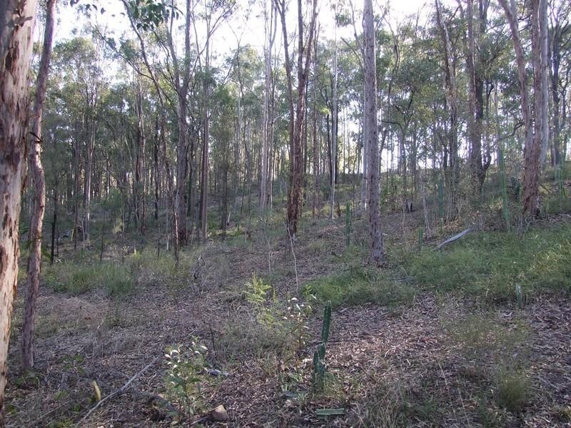 00 Water Street, Goombungee QLD 4354