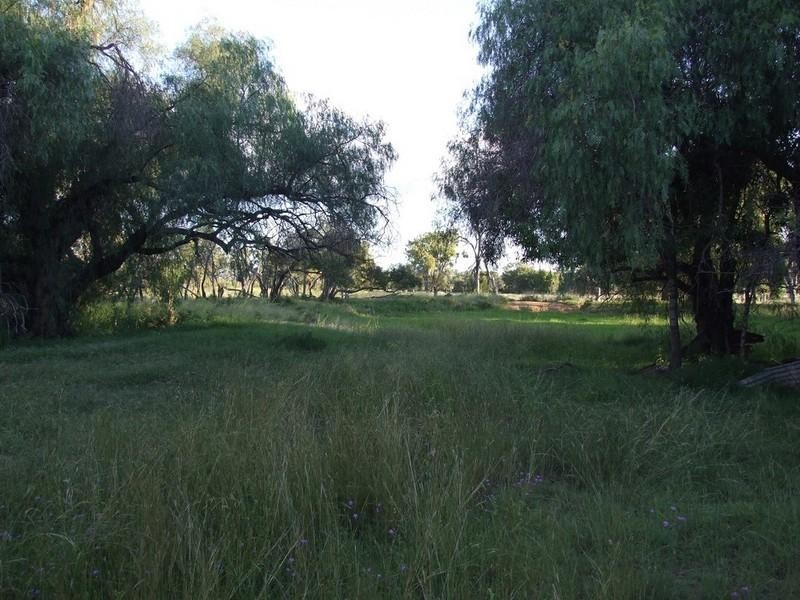 0 Pechey-Maclagan Road, Goombungee QLD 4354