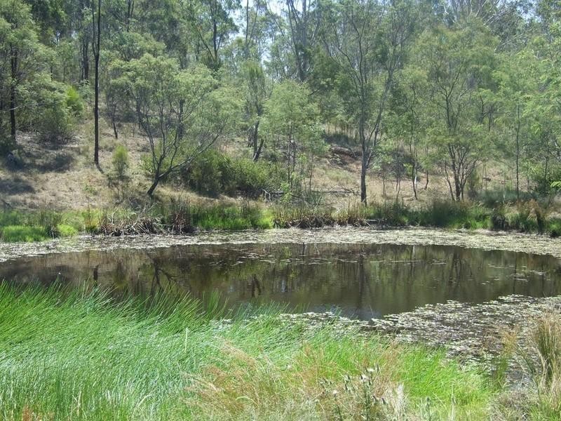 1131 Cooyar Mt Binga Road, Mount Binga QLD 4306