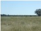000 Bollon-Mitchell Road, Bollon QLD 4488
