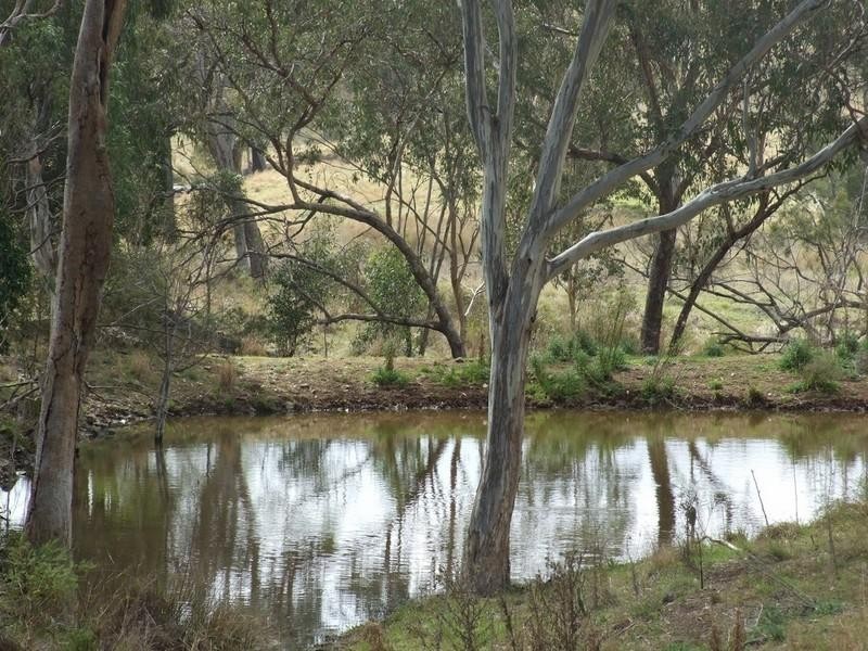 0 Dunnemanns Road, Plainby QLD 4355