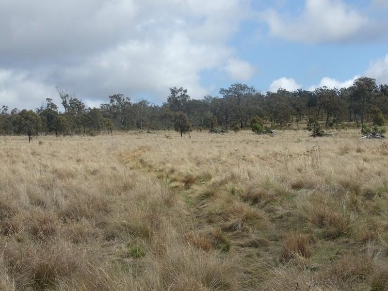 0 Dunnemanns Road, Plainby QLD 4355