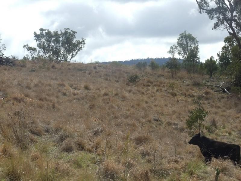 0 Dunnemanns Road, Plainby QLD 4355