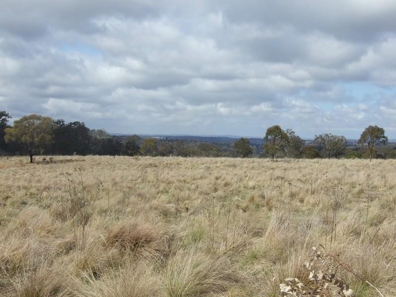 0 Dunnemanns Road, Plainby QLD 4355