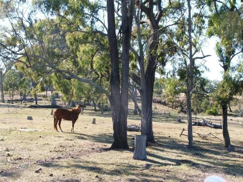 216 Peters Road, Groomsville QLD 4352